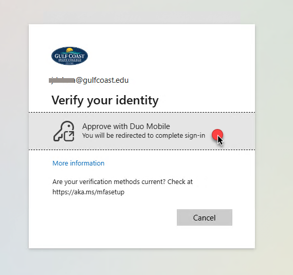 Verify your identity screen